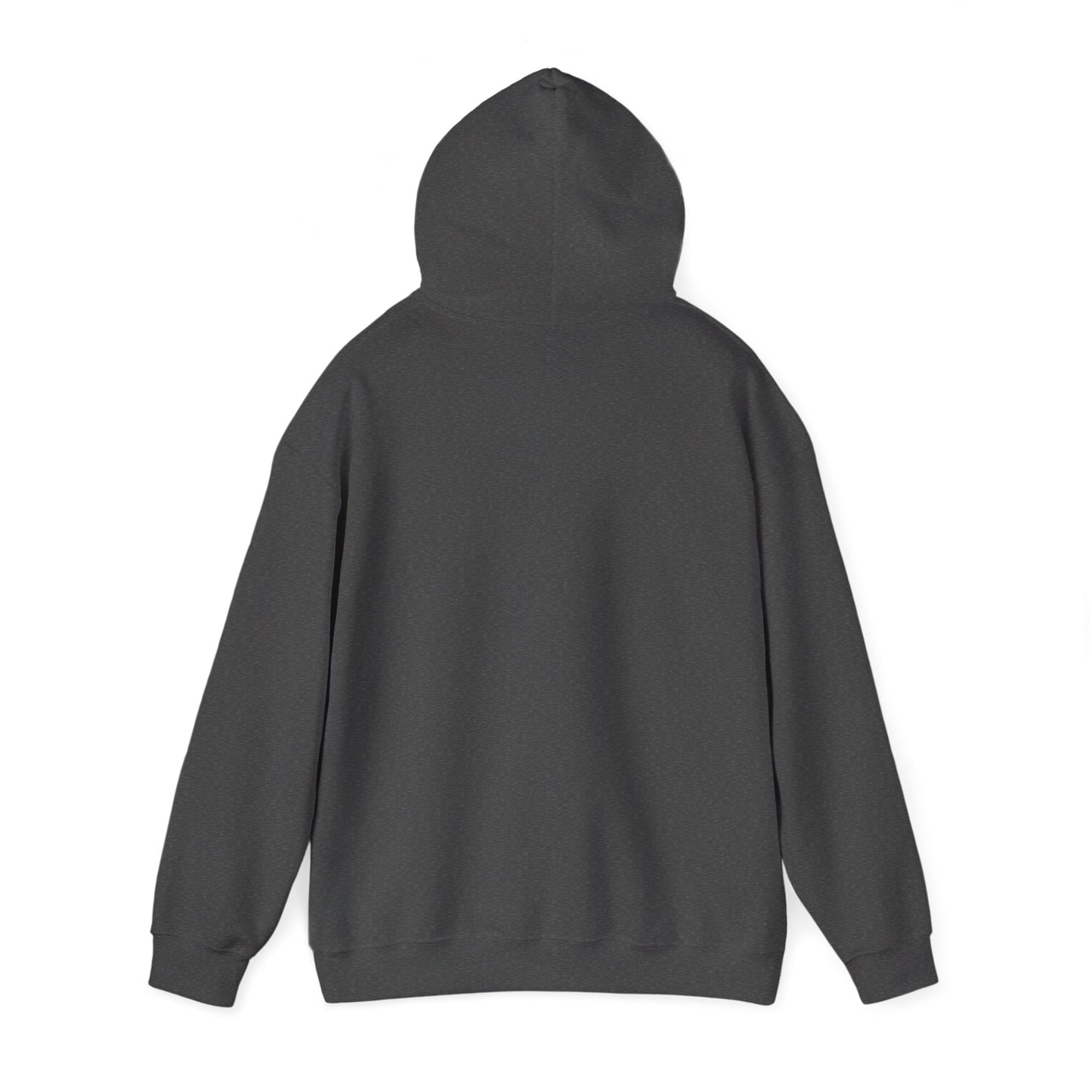 Probably Lost Hoodie